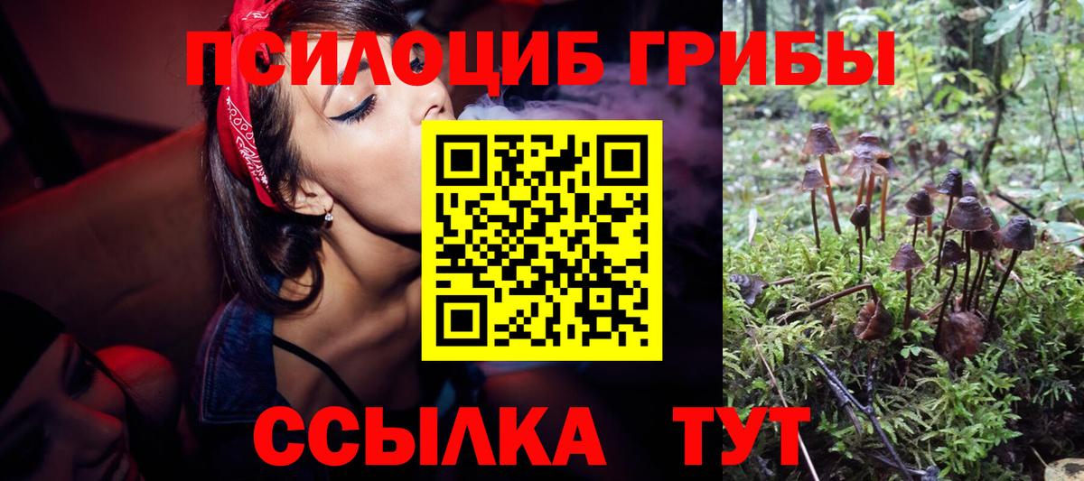 Жигулёвск  наркота  Псилоцибиновые грибы Cubensis  Вход с VPN  Галлюциногенные грибы MAGIC MUSHROOMS 