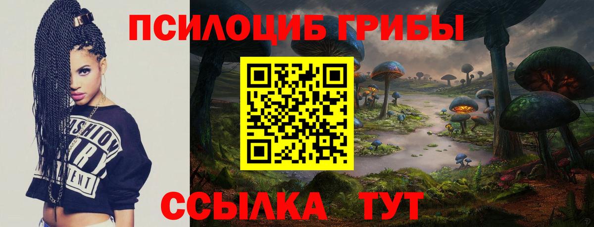 Галлюциногенные грибы Psilocybe Жигулёвск